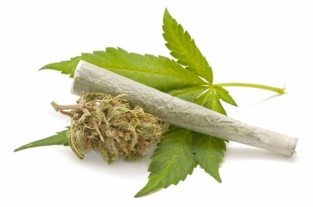 Hash Oil Manufacturer Fined 50k After Worker Burned In Explosion